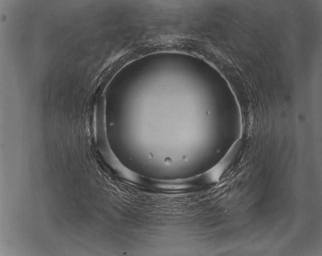 X0000069791206200605221106