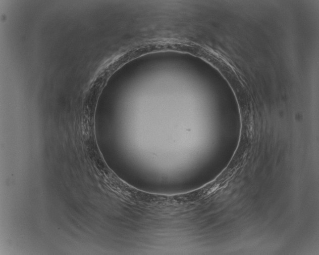 X0000069791207200605221106