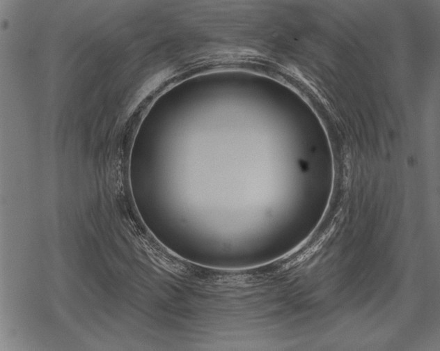 X0000069791211200605221106