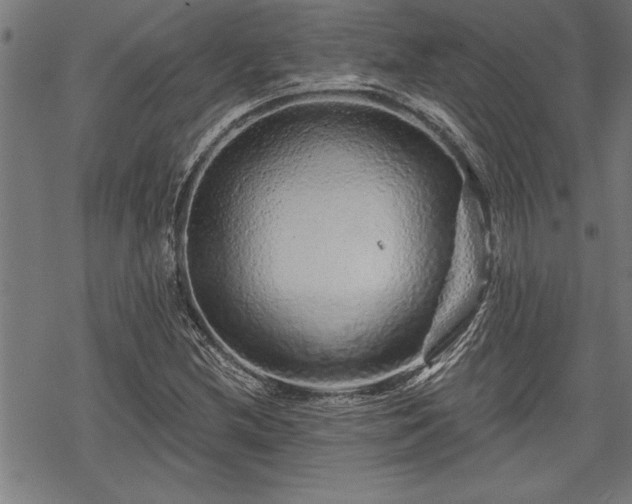 X0000069791212200605221106