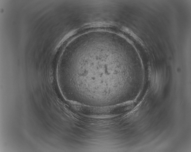 X0000069791213200605221106