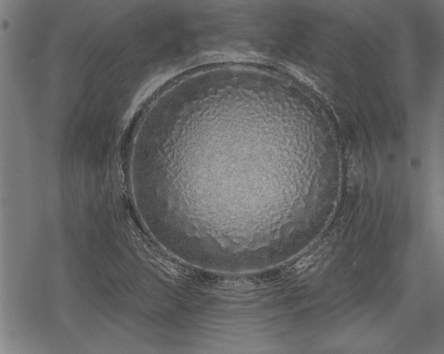 X0000069791215200605221106