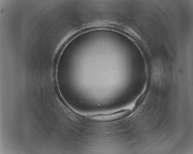 X0000069791216200605221106