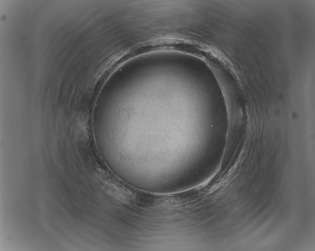 X0000069791217200605221106