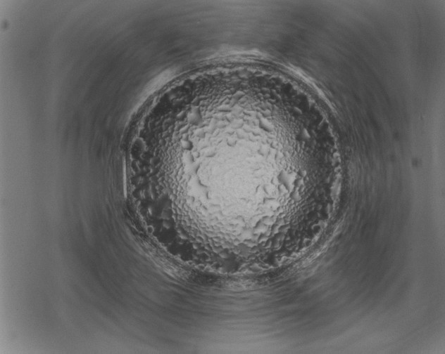 X0000069791219200605221106