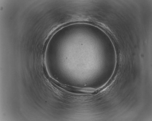 X0000069791220200605221106