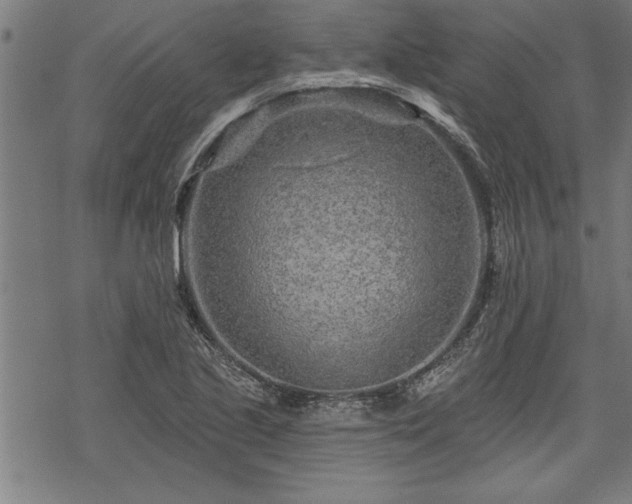 X0000069791221200605221106