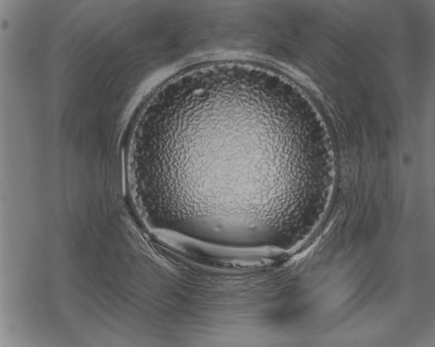 X0000069791223200605221106