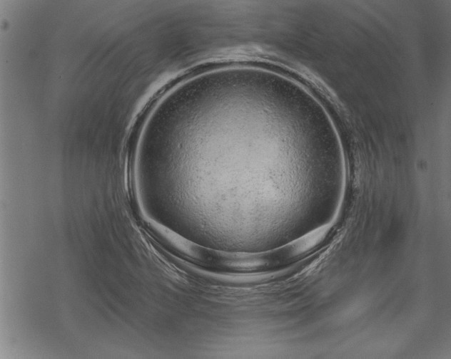 X0000069791224200605221106