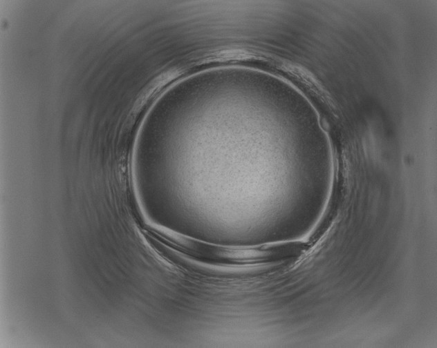 X0000069791225200605221106