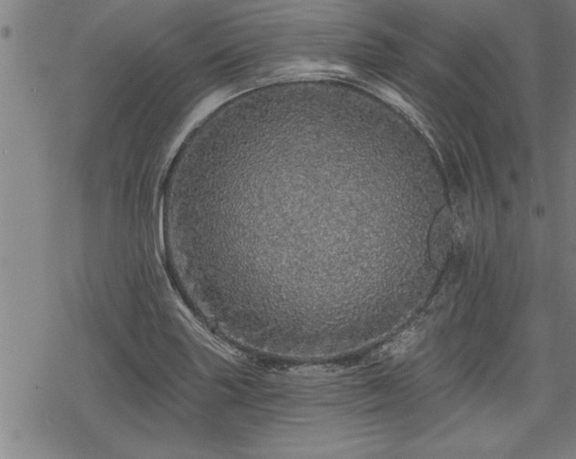 X0000069791227200605221106