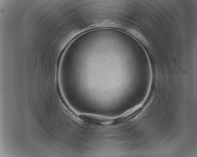 X0000069791228200605221106