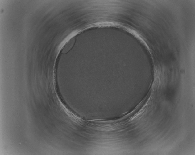 X0000069791229200605221106