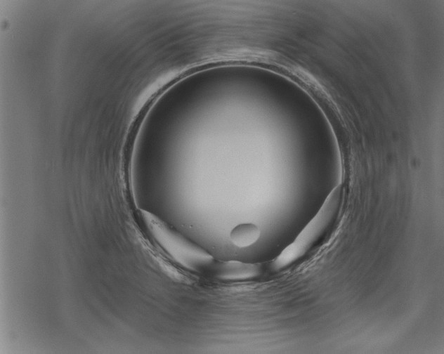 X0000069791230200605221106