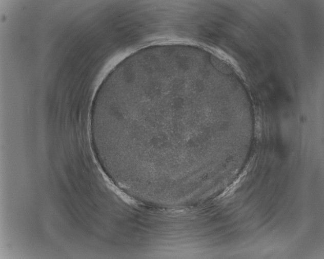 X0000069791231200605221106