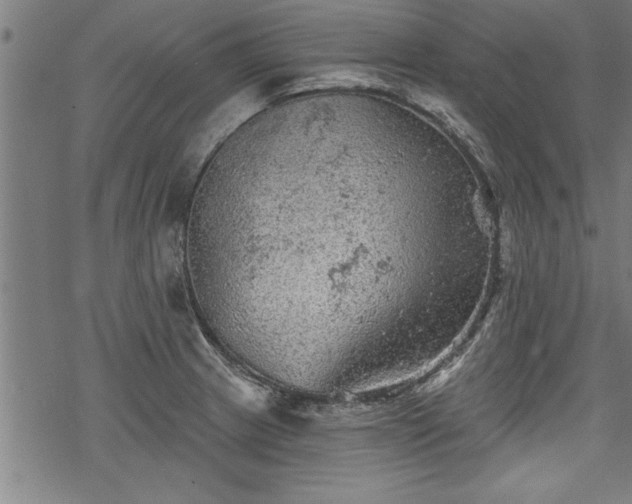 X0000069791233200605221106