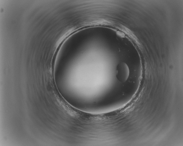 X0000069791234200605221106