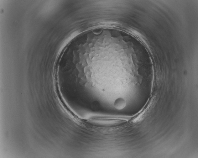 X0000069791235200605221106