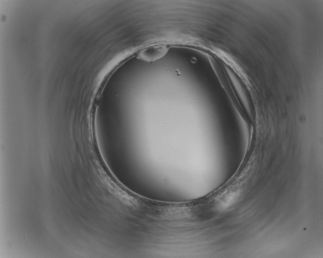 X0000069791238200605221106