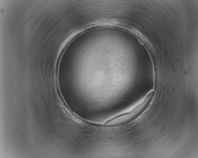 X0000069791240200605221106