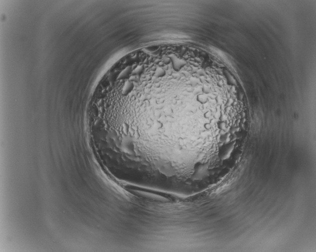 X0000069791243200605221106