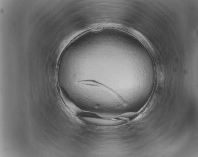 X0000069791244200605221107