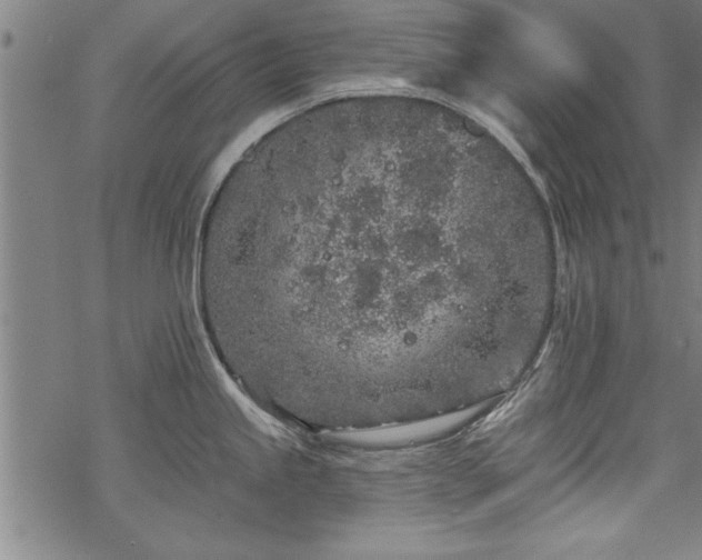 X0000069791245200605221107