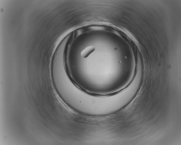 X0000069791246200605221107