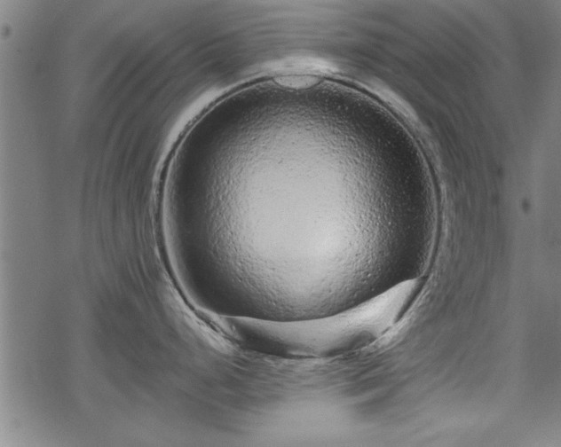 X0000069791248200605221107