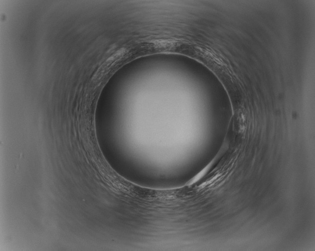 X0000069791249200605221106