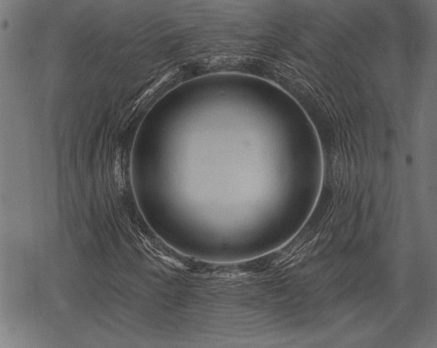 X0000069791250200605221106