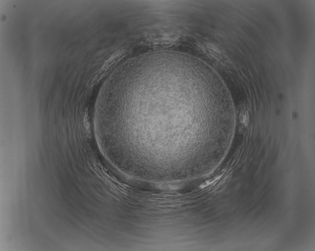 X0000069791252200605221106