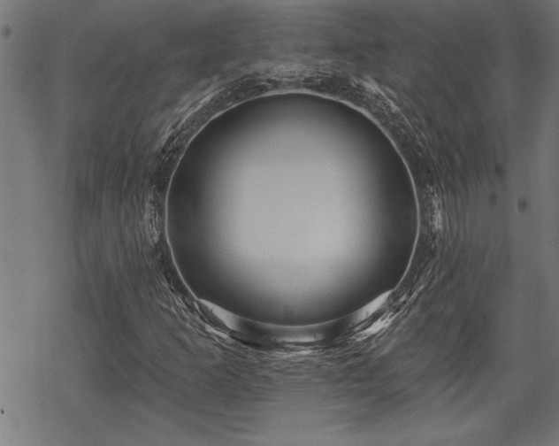 X0000069791253200605221106