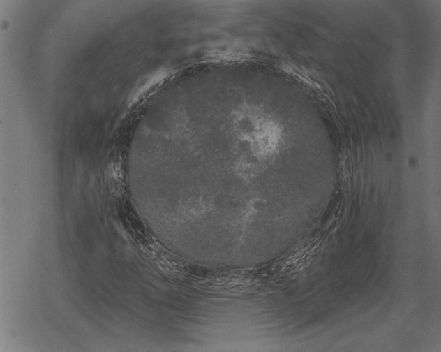 X0000069791254200605221106