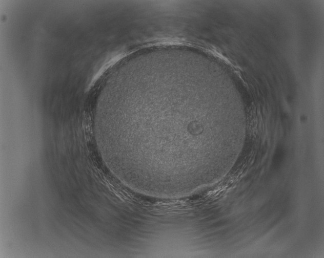 X0000069791255200605221106