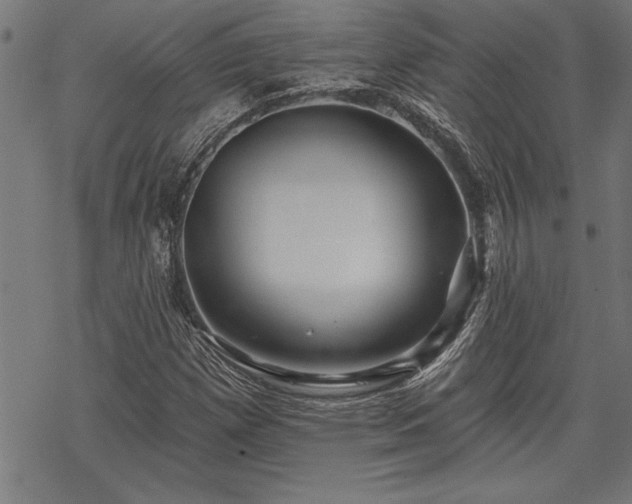 X0000069791257200605221106