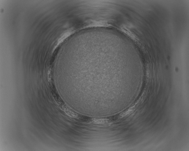 X0000069791258200605221106