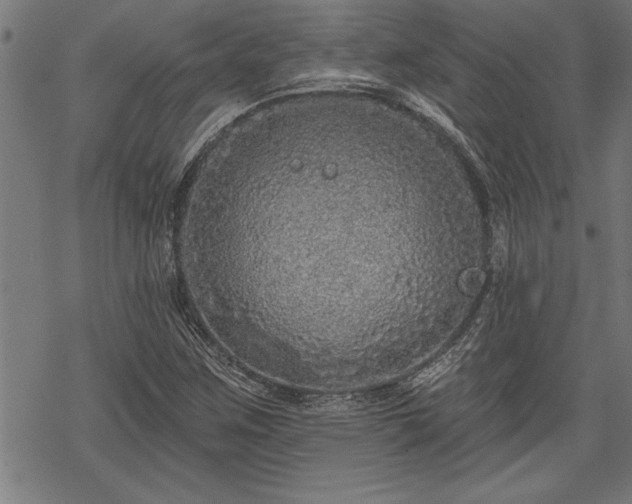 X0000069791259200605221106