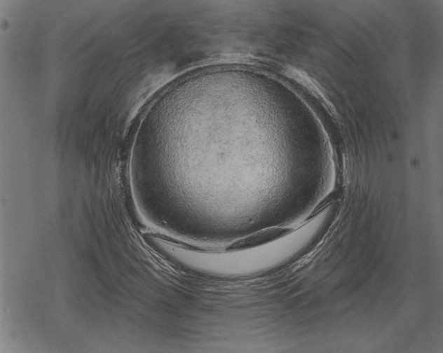 X0000069791260200605221106