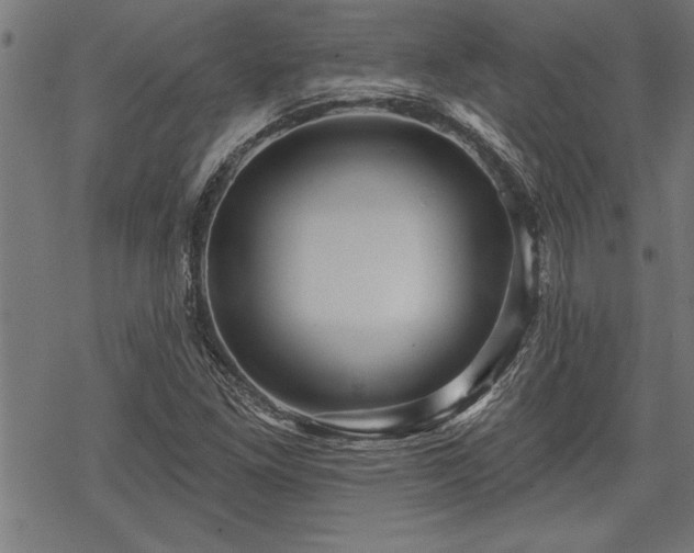 X0000069791261200605221106