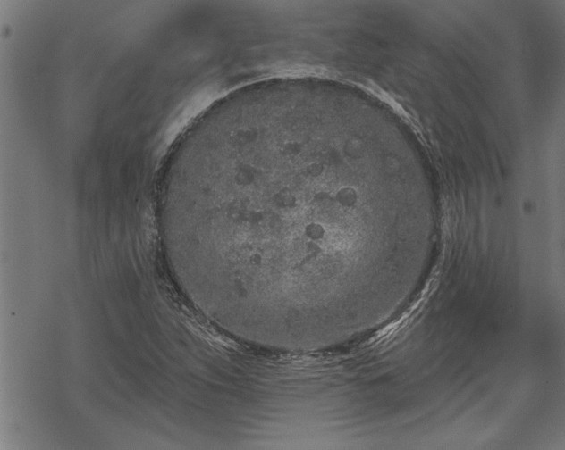 X0000069791263200605221106