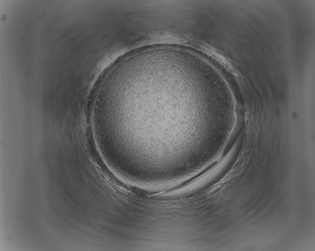 X0000069791264200605221106