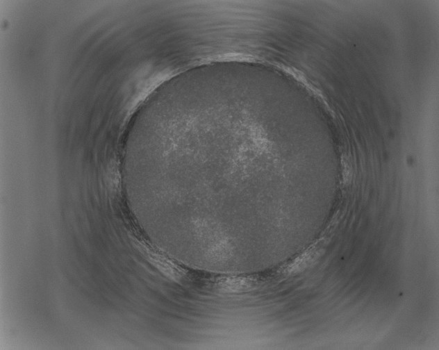 X0000069791266200605221106