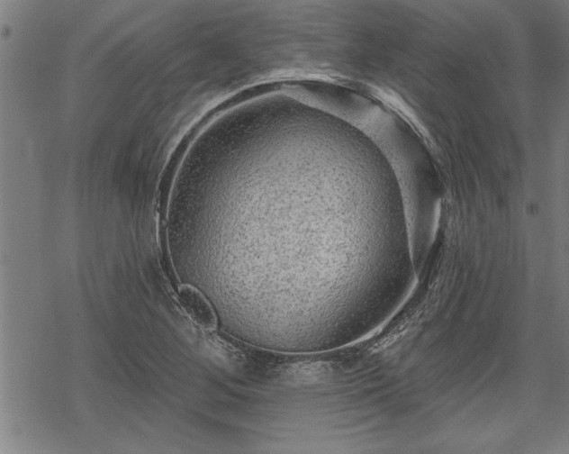 X0000069791268200605221105