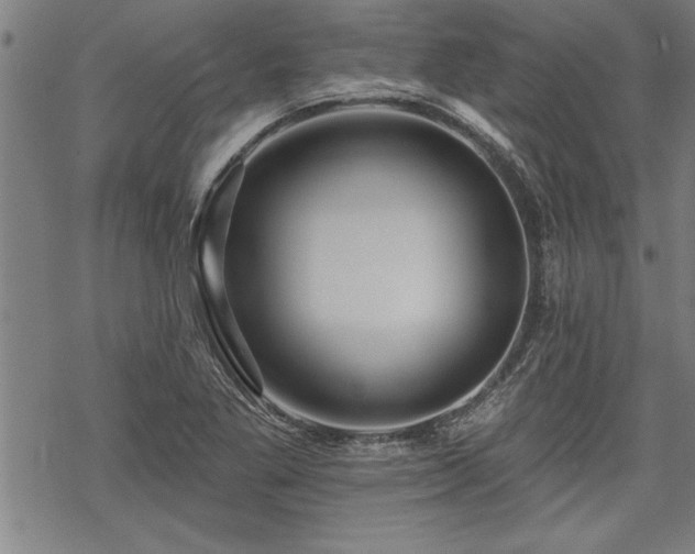 X0000069791269200605221105