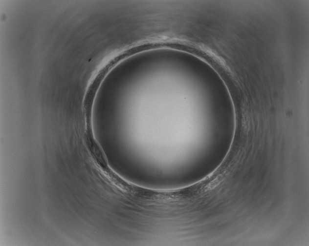 X0000069791270200605221105