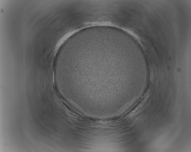 X0000069791271200605221105