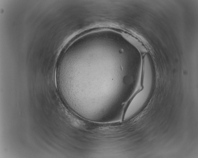 X0000069791272200605221105