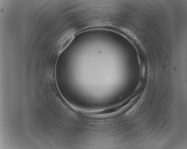 X0000069791273200605221105