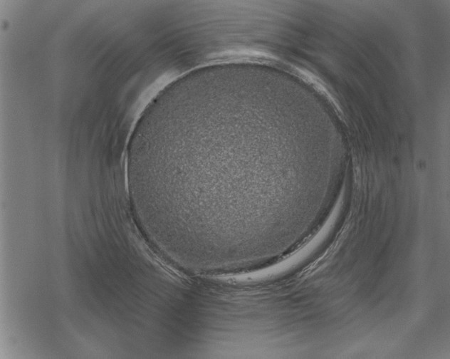 X0000069791275200605221105